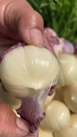 makanan diet sehat banyak manfaat Black Garlic makanan sehat yang tinggi akan antioksidan untuk membantu meningkatkan kesehatan tubuh kamu #blackgarlik #bawangputihtunggal #fruit #fruits #panenbuah 