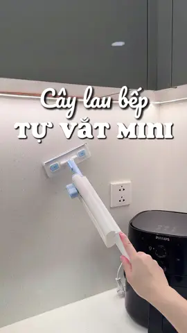 Cây lau bếp đa năg #choilau #caylaubepmini #choimini 