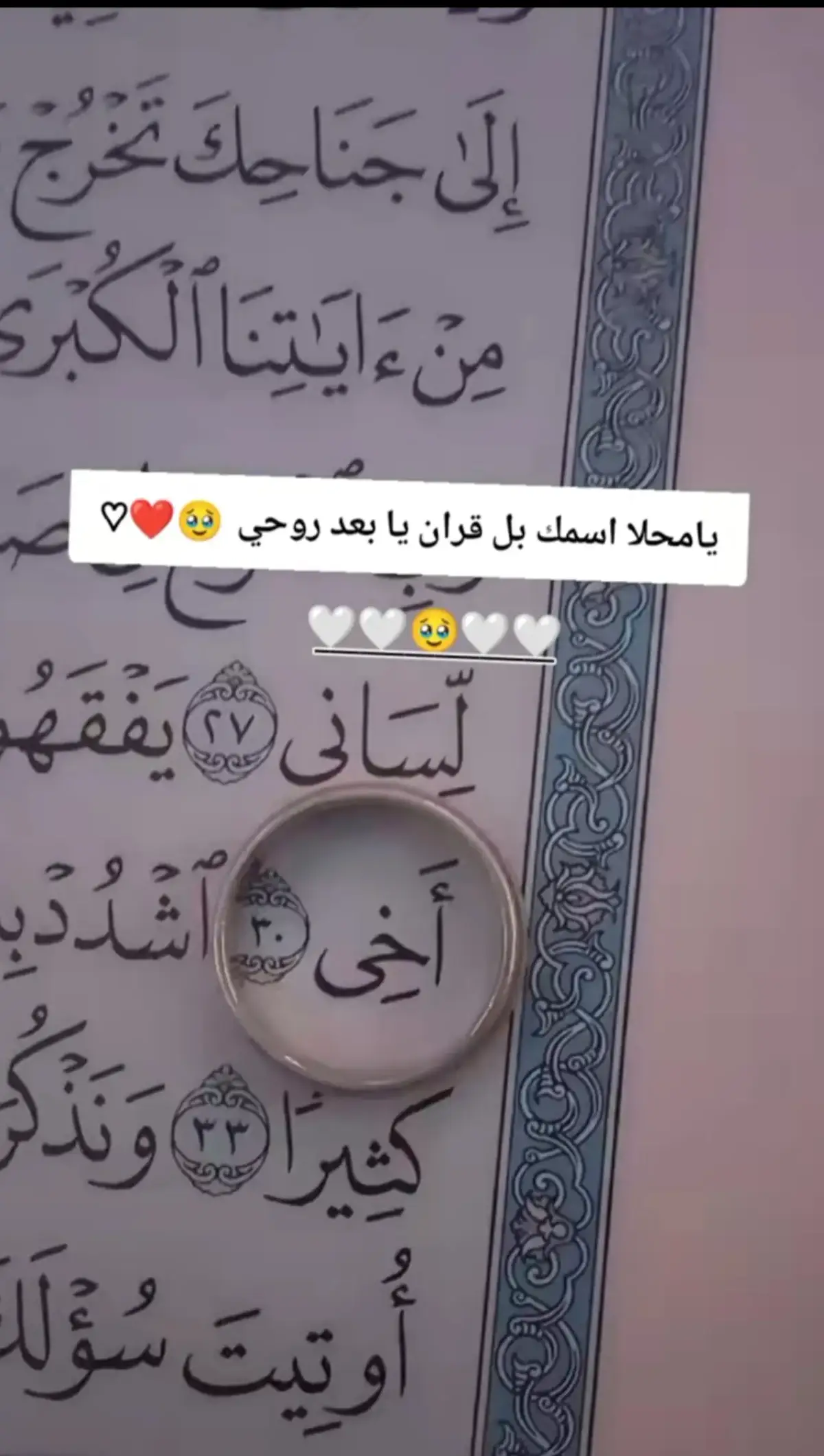 #اخي_نور_قلبي 