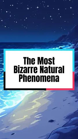 Nature is full of surprises, and some of its strangest phenomena seem almost unreal. From glowing waves to rocks that move on their own, these natural wonders defy logic and leave scientists in awe. Get ready to explore the most bizarre natural occurrences that will make you question the limits of our planet.