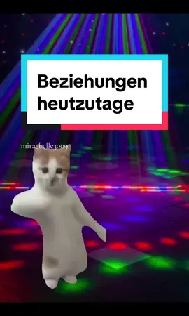 #beziehungen #couple #gf #bf #catsoftiktok #f #fyp #memestiktok 