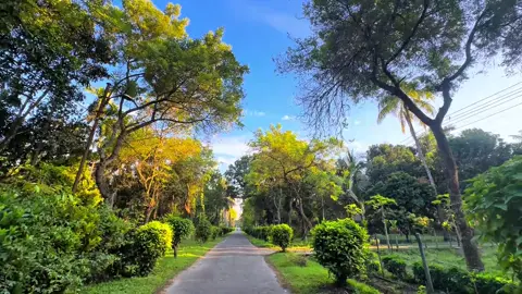 মানুষ কখনো হেরে যায় না,,মেনে নিয়ে থেমে যায় ॥🙂 #weather #foryou #trending #viral #bdtiktokofficial🇧🇩 