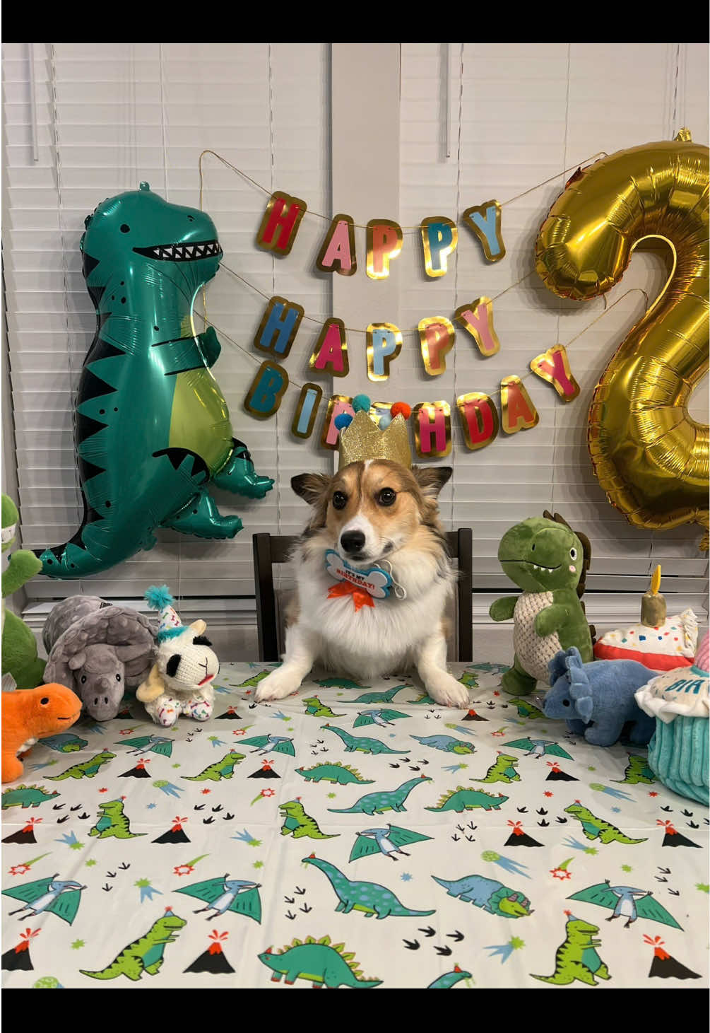 Stomping into two! Our little Dino is growing up so fast! 🐾🦖🐾🦕🐾🥹@Alexis To  Here are some clips/pics of his little birthday celebration. 🥹❤️ 3-4-22  . . . #happy #birthday #rocket #🚀  #creatorsearchinsights #party #twoyears #14y #dino #two #years #old #dinosaur #🐶 #dinonuggets #viral #2years #creatorsearchinsight #balloon  #fyp #fy #foryoupage #corgi #corgisoftiktok #tiktok #pembrokewelshcorgi #rocket #corgis #corgination #dog #dogsoftiktok #dogs #dogtok #doggo #doggo #cute #corgipuppy #trend #corgiracing #corgishedding #goodmorning #creatorsearchinsights #creatorsearchinsight #tgif #riseandshine 