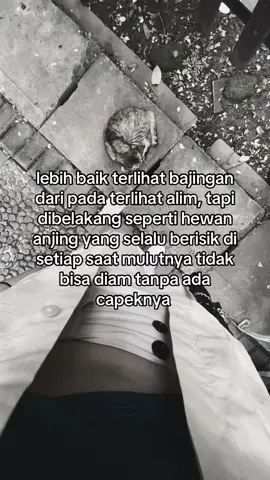 hahhha fakta#fyppppppppppppppppppppppp #4upage #fupシ #fypp #foryoupage #story 