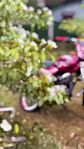 😗❤️🦦 #trending #viralvideo #ct100 #BIS #fyyyyyyyyyyyyyyyy #srilanka #india #bikelover @Thisul 🐼@@ｌｉｚａｒｄ >🦎 @L E N A  MALLI 👽 @Tharuwa 🌚💗 @𝙋𝘼𝙉𝙏𝙃𝙀𝙍 🪽 @#Maniya💗👻 @Kavii>💗 