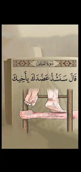 قال سنشد عضدك باخيك