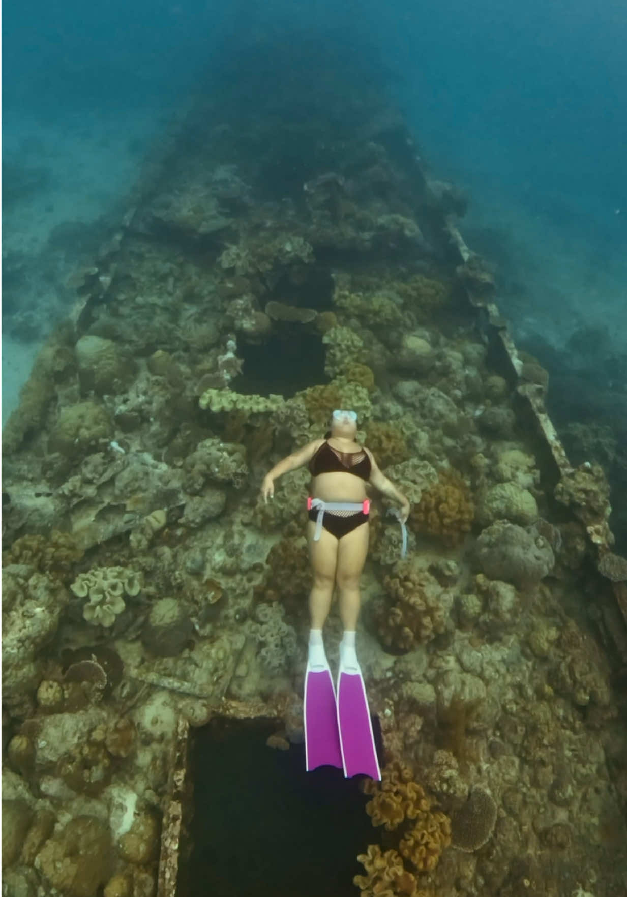 This taiwanese ship wreck is one of the most notable attractions in Apo Reef at Sablayan, Occidental Mindoro. A favorite among divers, it sits at around 8 to 12 meters.  I wasn't able to attempt to penetrate the wreck because of equalization issues kaya fineel ko na lang ang moment. Dive with @divespotph  🎥 @freediverluke  Fins @budoleroph  Belt from @problue_diving available at @freediveboracay  Weights @ysla_freediver  👙 @sheinphilippines_  #freediving #freediveph 