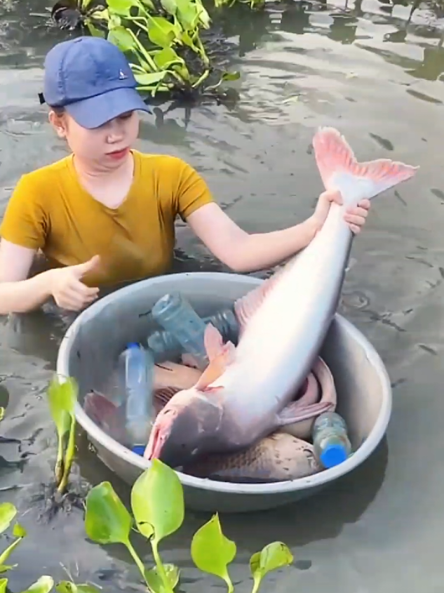 Dapat banyak ikan mencing di sungai dengan botol bekas #pancingikan #mancingliar 