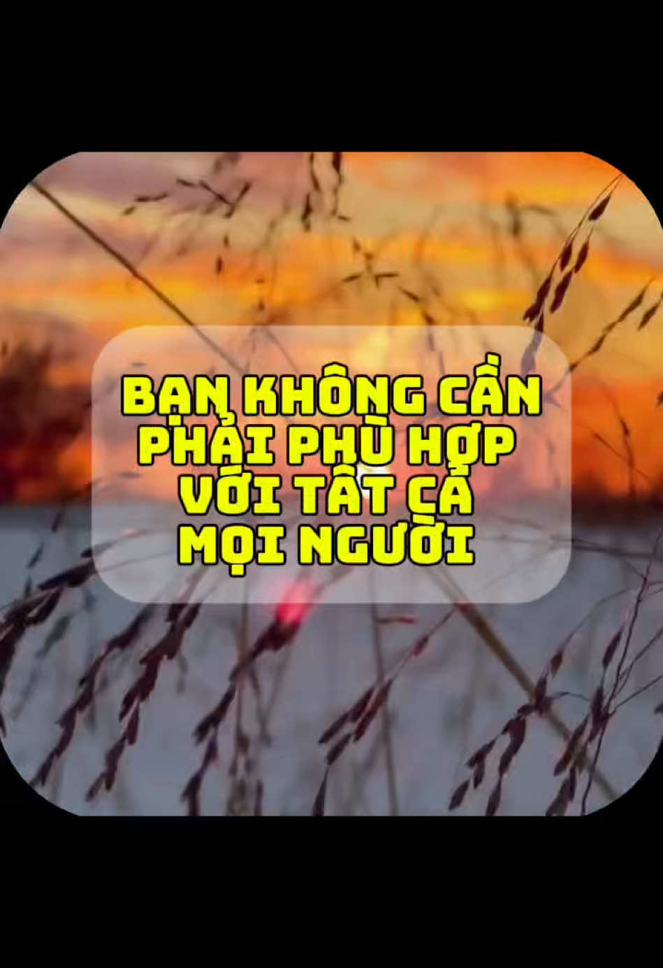 Bạn có bao giờ cảm thấy… dù cố gắng thế nào, vẫn có những người không hiểu được mình? 💙 Bạn không cần phải phù hợp với mọi người. 🌿 Hãy sống đúng với giá trị của mình. 🌿 Hãy dành thời gian cho những người thật sự thấu hiểu và trân trọng bạn. 🌿 Hãy nhớ rằng bạn không cần phải được hiểu – bạn chỉ cần hiểu chính mình. 📌 Khi bạn không còn bận tâm ai nghĩ gì về mình, đó chính là lúc bạn thực sự tự do. 💬 Bạn đã từng cảm thấy bị hiểu lầm chưa? Bình luận 