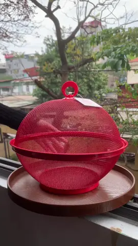Rổ kèm lồng bàn #rokemlongbankaiyo #rokaiyo #romini 