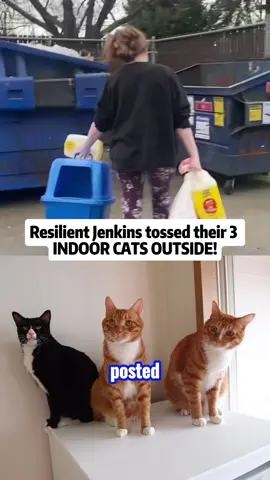 #cat #catsoftiktok #catlover #catslovers #resilientjenkins #furbaby #indoorcat #mom #momlife #momtok #eviction #breakingnews #sahm #petparent #catmom #sahmlife #PetsOfTikTok #pets #straycat #straycats #moving #apartment #animals #animallover #animalsoftiktok