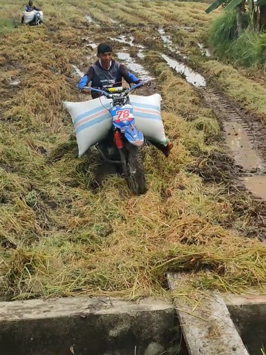 medan favorit🤣 @Kurirpadi378🌾🌾🌾 @kurirpadi63__ @aghuzz45_ #cambangroso #tassigabahsoppeng #taxigabahsulawesi #ojekgabah 