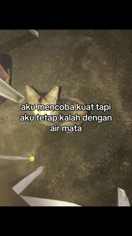 sikit” nangis” begitu kejam katakata mu #foryoupage #4u #katakata🥀 #xyzabc 