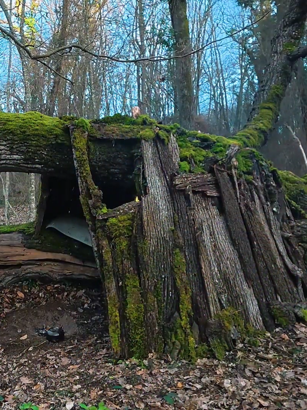 #camping #bushcraft #survival 