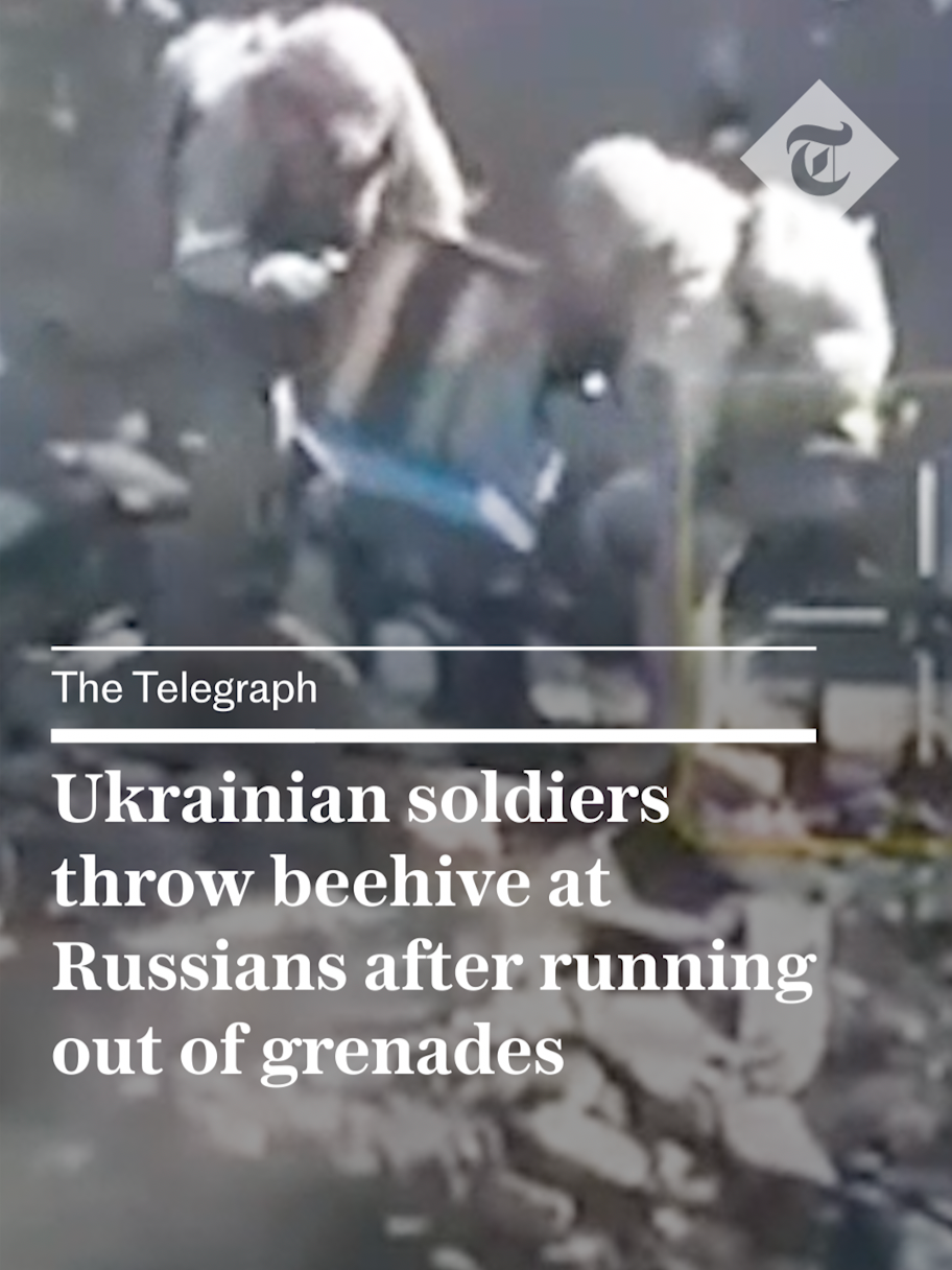 Ukrainian troops appear to have picked up an entire beehive and thrown it at Russian troops hiding in a cellar after running out of grenades. Kyiv’s military has established a reputation for ingenuity and improvisation, in particular by pioneering the use of drones, but this is thought to be the first time its troops have recruited insects in their fight against Vladimir Putin’s forces. For more from #thetelegraph, click the link in our bio. 🔗 #ukraine #russia #beehive