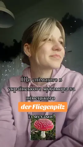 der Fliegenpilz або що спільного у мухомора з мухами#deutsch_marathon #deutsch 