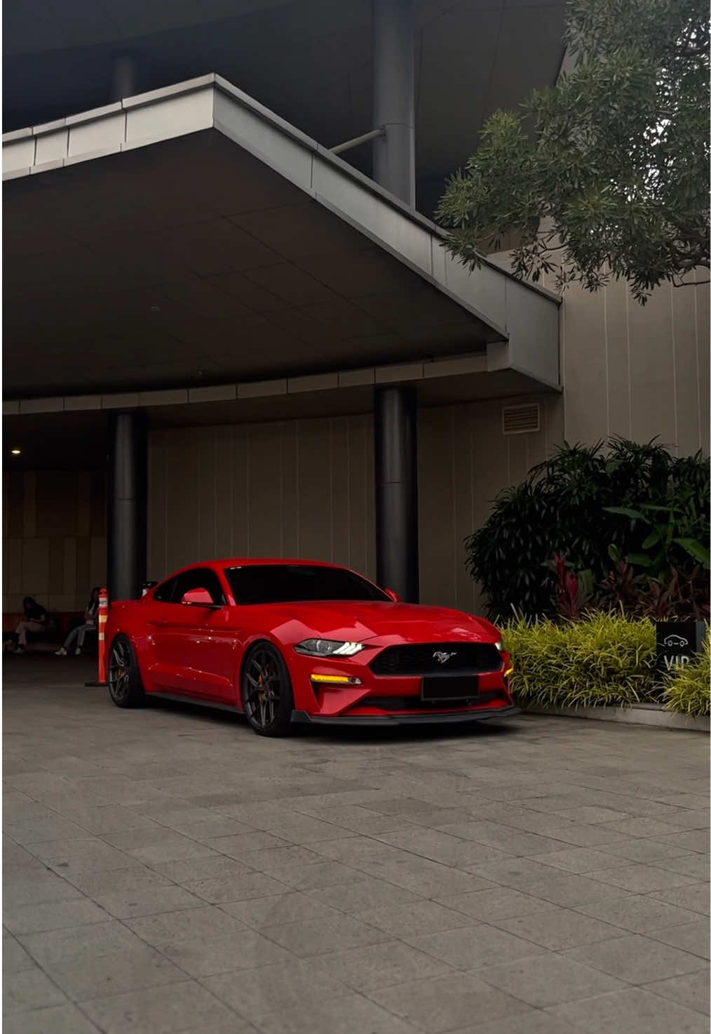 🐎❤️ #mustang #ford #mustangecoboost #car #cartok #cinematic #fyp 