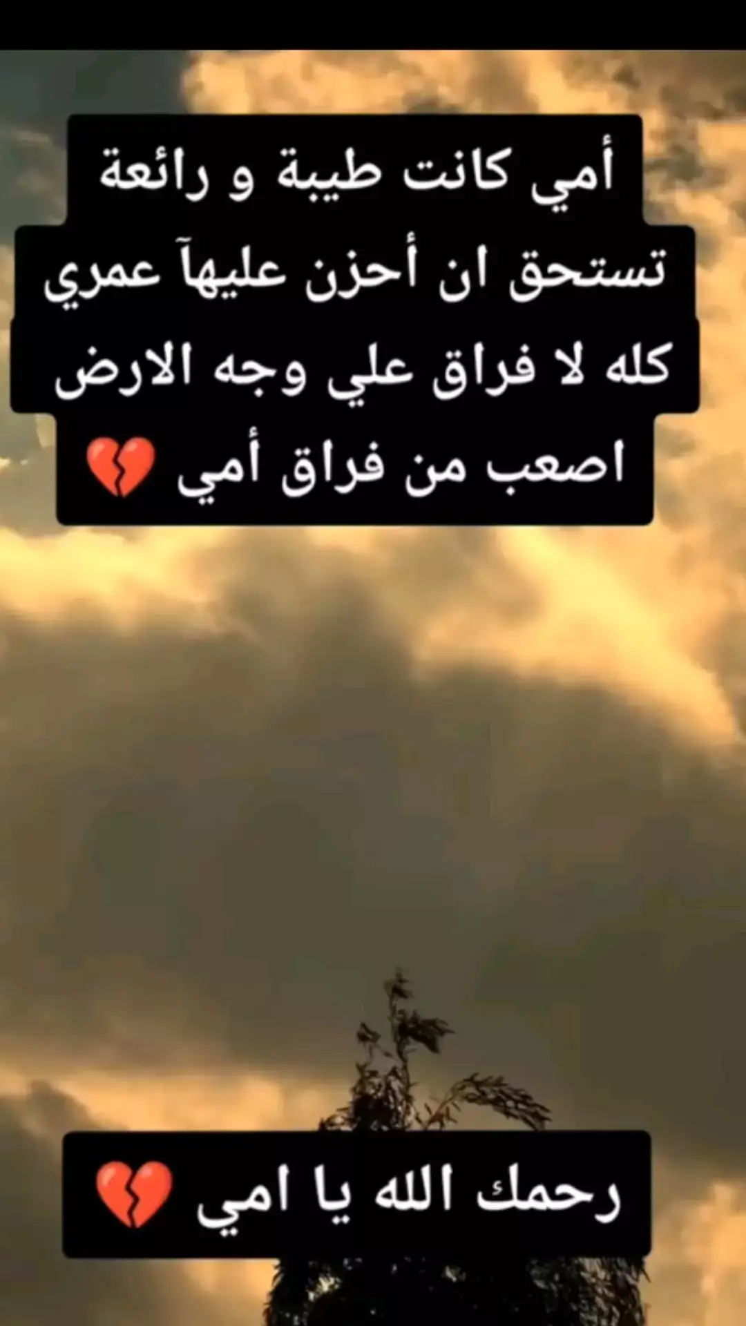 #رحمك_الله_يا_فقيدة_قلبي💔 