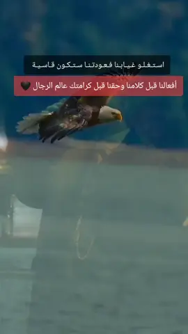 ☮▁▂▃▄☾ ♛فخامة الفيلسوف ♛ ☽▄▃▂▁☮
