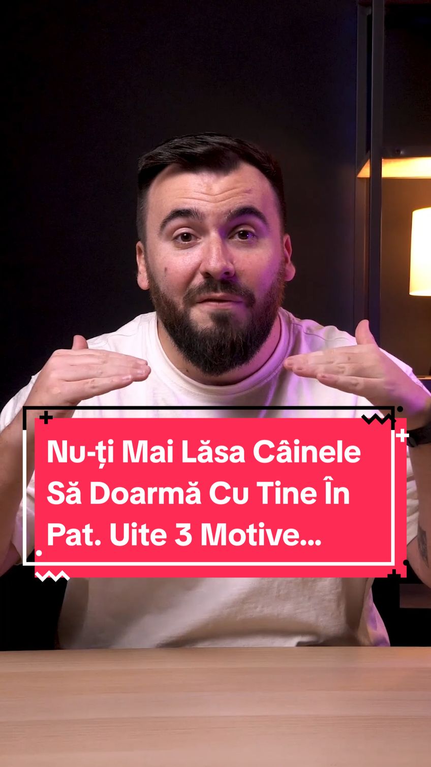 Câinele Tău Doarme Cu Tine În Pat? Uite De Ce Nu Ar Trebui Să Mai Faci Asta #caini #hellodoggiero #stiaica #curiozitati #catel 