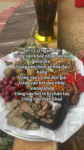 Công dụng sét 12 vị ngâm tửu cho các bác#xuhuong #thaoduocmevoi #caythuocquanhta #thanhu #thaoduoc #ysl #daunhucxuongkhop #tebichantay #xts 