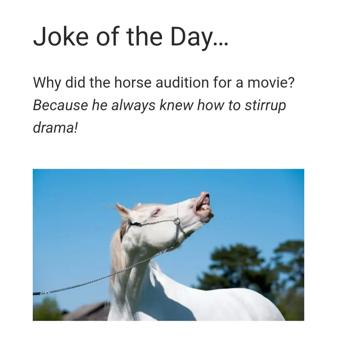 Joke of the Day 🤣🐴 Why did the horse audition for a movie? Because he always knew how to stirrup drama! #jokes #horses #movies #animals #equestrian #drama 