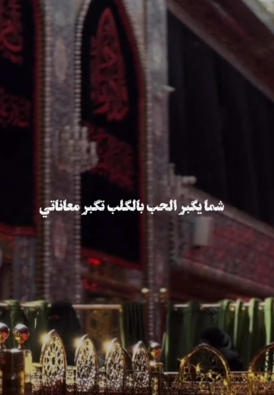شما يكبر الحب بالكلب 🖤 #محمد_باقر_الخاقاني #برلين_fm 