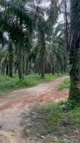 ngabuburit ngeterl 🤣