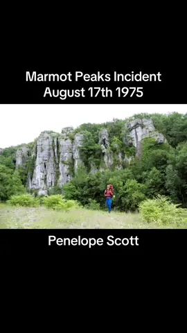 Marmots injure roughly 17,000 bears every year… #CapCut #fyp #foryoupage #iamnotabear #horror #scary #scarytiktoks #AnimalFacts #Hiking #hikinggonewrong #facts #true 