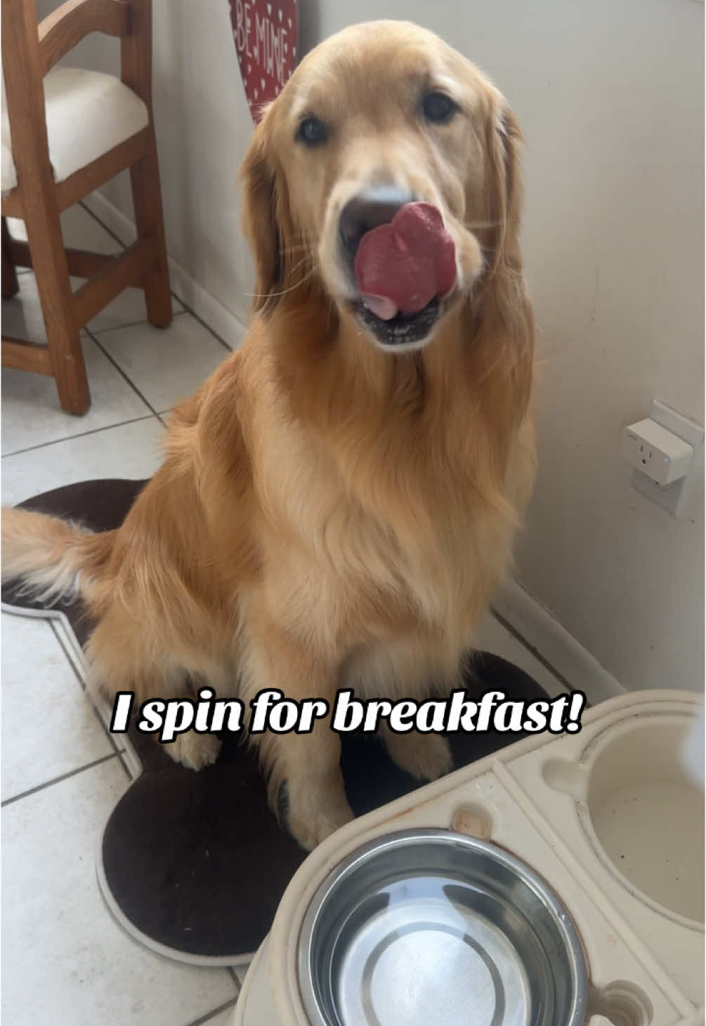 #foryou #neganthetherapydog #iamnegan #follow #wop #bestdayofmylife #TikTokShop #tiktok #iamnegan #cuteness #dancemoves #dance #goldensoftiktok #goldenretriever 