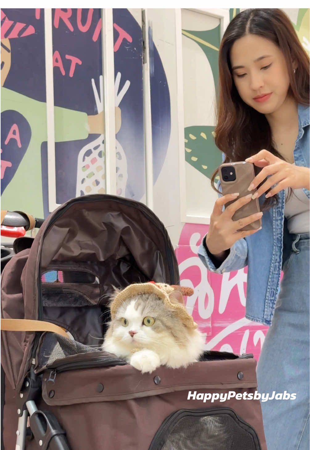 ใครว่าเป็นแมวไม่เหนื่อย😹 #นะยูเป็นแมว #HappyPetsbyJabs #Jabs #สัตว์เลี้ยงTiktok #ทาสหมาทาสแมว #ผ้าเปียกสัตว์เลี้ยง #Petslover #ทิชชู่เปียกสัตว์เลี้ยง #แมวหลับ #หลับกลางอากาศ 