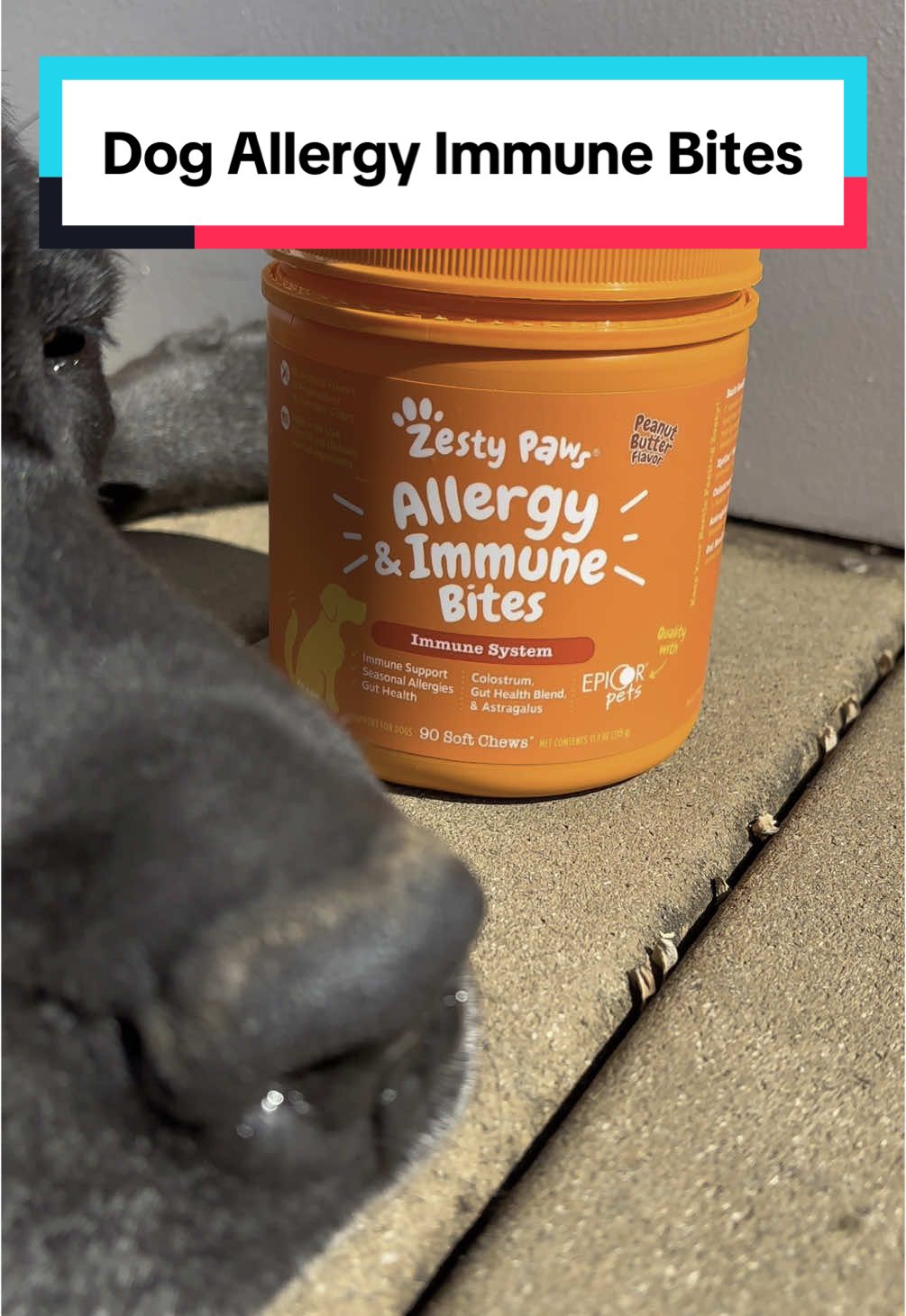 Allergy season is here, so keep your dog best friend feeling as good as possible with these Zesty Paws Allergy & Immune Bites! #zestypaws #dogs #dogowner #dogparents #allergyseason #dogallergies #scratching #dogears #dogsupplements #dogwellness #doghealth #doghealthtips #tiktokshoprestock #tiktokshopspringglowup #tiktokshopmemorialday #tiktokshopmothersday 