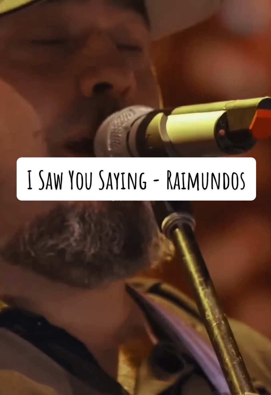 I Saw You Saying - Raimundos #foryou #fyp #lyric #musica #raimundos #rocknacional 