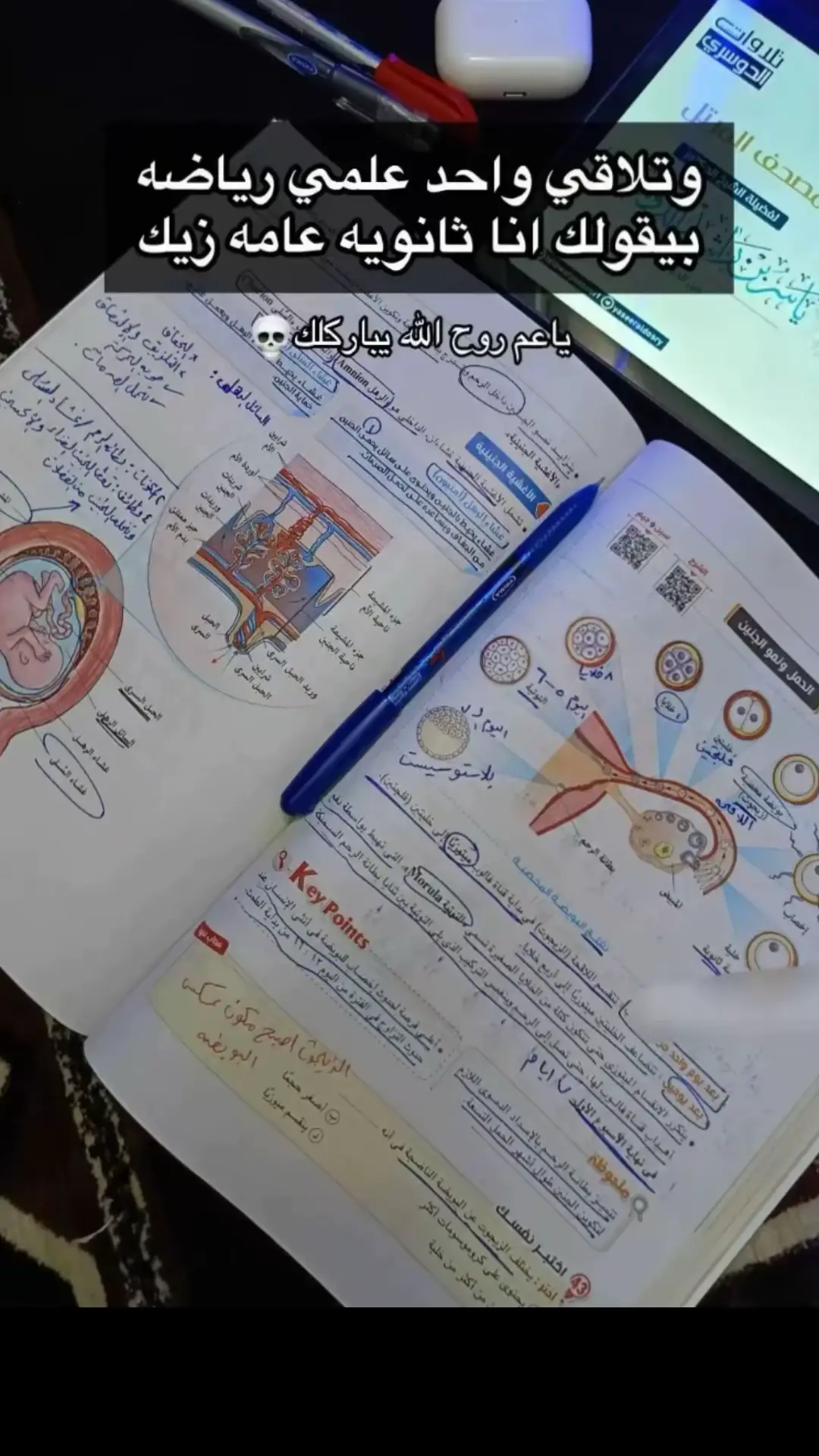 #fyp #فكرة #ثانويه_عامه_2023 #تالته_ثانوي #تالته_ثانوي #ثانوية_عامة #foryoupage #قرارات_وزاره_تربيه_التعليم 