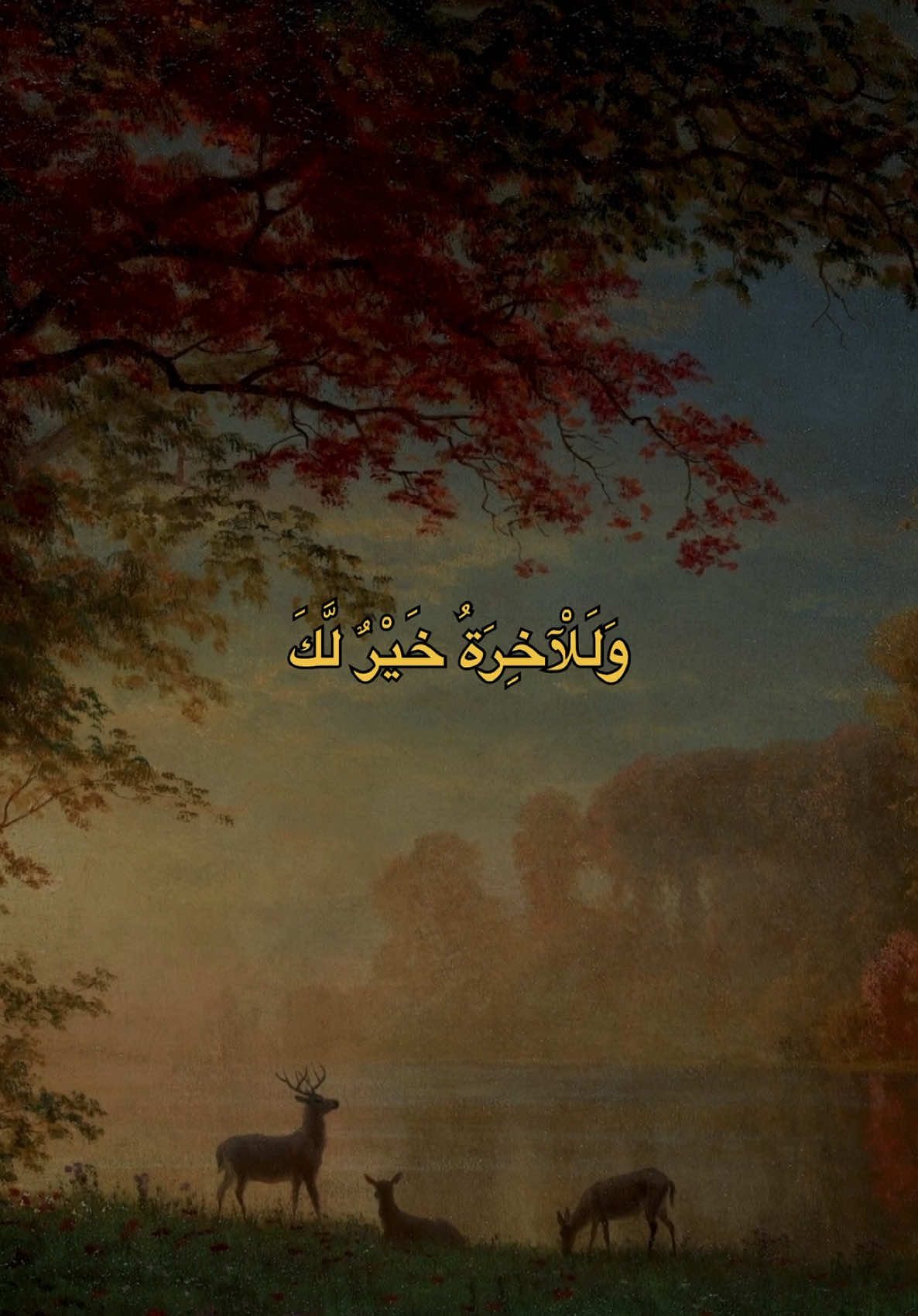 #قران #اكسبلور #fyp #explore #foryou 