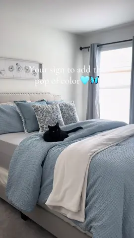 As a neutral girlie, bringing color into my home is difficult. But I’m loving this change🩵🦋 Link in bio!! #bluebedding #blueroom #bedding #bedroom #cozyhome #popofcolor #colorfulbedding #fluffybedding #homedecor 