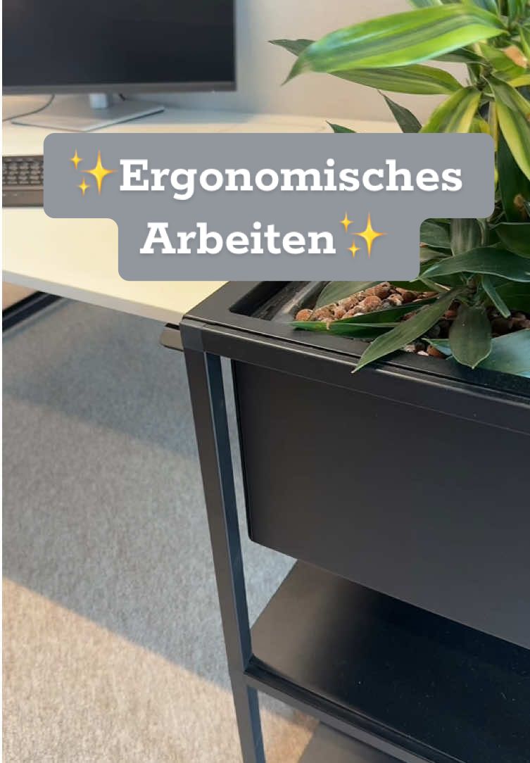Zum Glück gibt es bei uns höhenverstellbare Tische und ergonomische Arbeitsplätze für alle😉 Falls der Rücken doch mal schmerzt, sogar einen Physiotherapeuten!🙈 #medigmbh#wearemedi#mediausbildung#Azubi#2024#büro #humor#office#fyp#viral