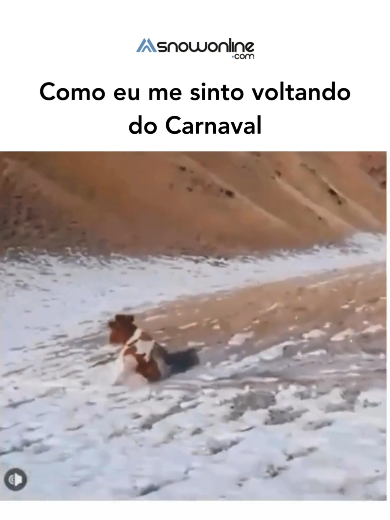 é verdade que o ano começa agora?