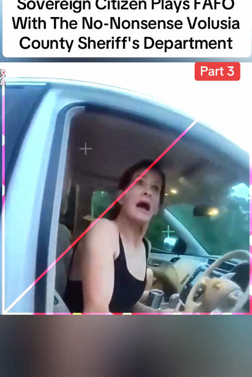 Sovereign Citizen Plays FAFO With The No-Nonsense Volusia County Sheriff's Department #cops #police #lawsuit #unlawful #wrong #flypシ #usa 