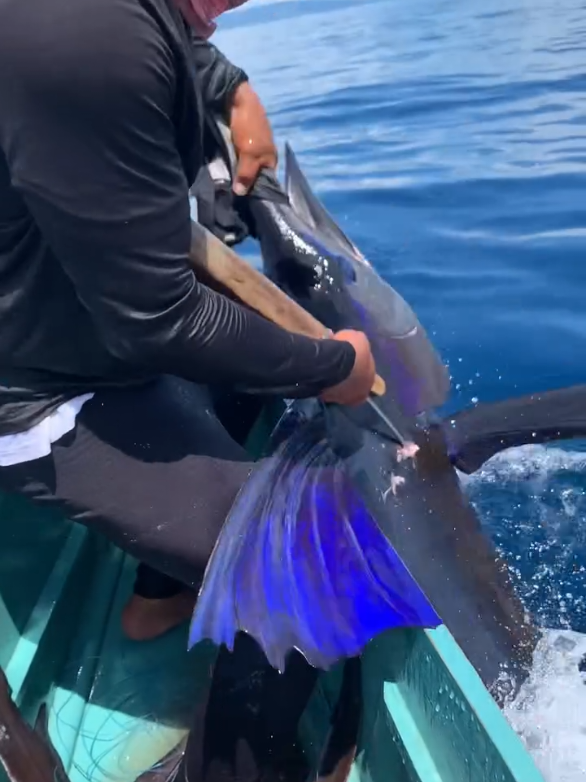 The best time to go fishing is when you can get away. #foryou #viral #tiktoktrend #tiktokchallenge #explorepage #duet #trending #funny #Love #dance #fishing #fishinglife #fishingtiktok #angler #fishingtrip #catchandrelease #gonefishing #fishingfun #fishingaddict #fishon #FishtalesNetwork #FishtalesFishing #FishtalesCommunity#FishtalesAdventures #FishtalesFamily #FishingWithFishtales #FishtalesCrew #FishtalesExploration #FishtalesFishingStories #FishtalesJourney #DeepSeaHunting #DeepSeaFishing #OceanHunter #BigGameFishing #SaltwaterFishing #DeepSeaAdventure #MonsterCatch #FishingTheDeep #DeepSeaExploration #HuntingTheOcean #Fish #FishOfTheDay #AquariumFish #FishLovers #FishTank #UnderwaterWorld #OceanLife #Fishkeeping #MarineLife #FreshwaterFish #SaltwaterFish #FishPhotography #FishAddict #FishStagram #AquaticLife #spearfishing #FishingLife #FishingAddict   #FishingDaily #FishingAdventures #FishingGoals #FishingLifestyle #FishingTime #FishingFun #FishingTrip #FishingVibes #FishingPhotography #FishingGram #FishingCommunity #FishingTherapy #FishingSeason #FishingMemories  #FishingWorld #FishingLove #FishingPassion #FishingDreams  #SaltwaterFishing #FishingLife #OffshoreFishing #SurfFishing #DeepSeaFishing #FishingAdventures #SaltwaterAngler #FishingTheOcean #CatchAndRelease #FishingGram #FishingAddict #FishingTrip #SaltwaterCatch #FishingGoals #OceanFishing #BigHunt #TheBigHunt #HuntLife #HuntersOfInstagram #HuntHard #HuntSmart #AdventureHunt #HuntSeason #HuntAndGather #HuntersParadise #BigGameHunt #HuntWithPurpose #OutdoorAdventures #WildernessHunt #HuntAndExplore #DeepSeaFishing #OffshoreFishing #BigCatch #FishingAdventures #SaltwaterFishing #FishingLife #ReelLife #FishingTrip #OceanFishing #FishingGoals #CatchOfTheDay #FishingAddict #FishingFun #FishingPassion #FishingCommunity #FishingVibes #FishingLifestyle #FishingTherapy #FishingGram #FishingWorld 
