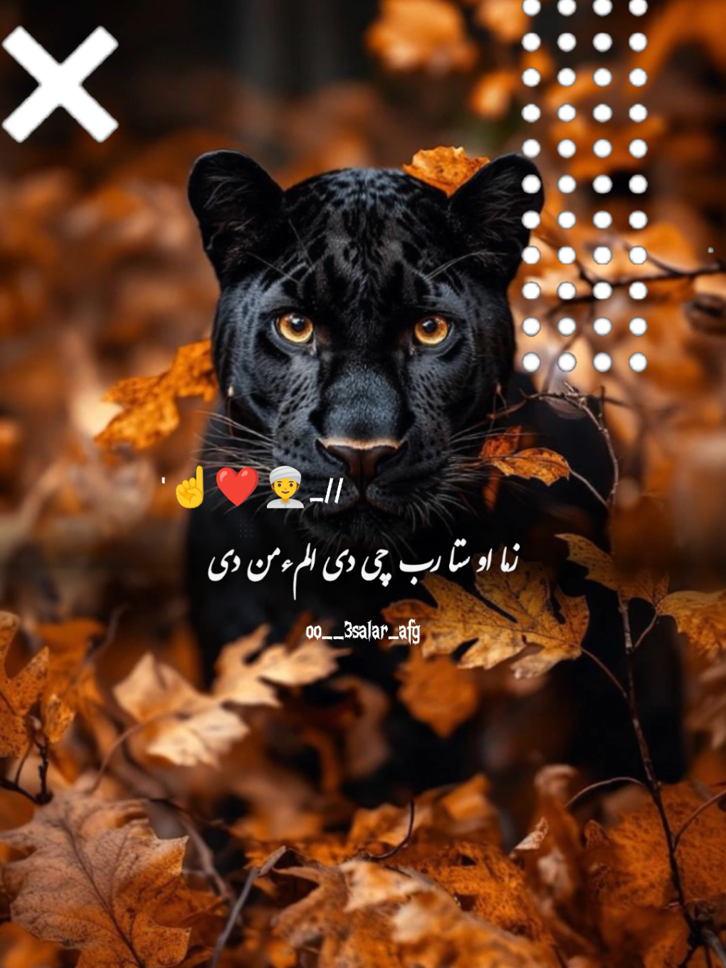 #CapCut حَسْبُنَا اللَّهُ وَ نِعْمَ الْوَکیل☝🥰#🙌تمپلیت♥️_جدید #تمپلیت_جدید #رپ #پشتو #رپ_فارسی #اهنگ_پشتو #اهنگ_افغانی #اهنگ_عاشقانه #creatorsearchinsights #oo__3salar_afg 