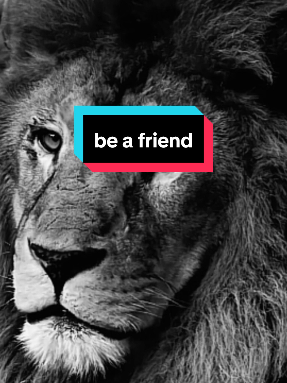 أنا لست صديقا للجميع لكنني اتحدث مع الجميع واظحك مع الجميع I'm not everyone's friend but I talk to everyone and laugh with everyone #اقتباسات #حالات_واتس #تيك_توك #اكسبلور #ترند #تحفيز #خواطر #عبارات #كلام_من_ذهب #ستوريات #السعودية #العراق#سوريا #الامارات#الاردن#ليبيا #عمان#قطر#تونس#الجزائر #لبنان #فرنسا #فوريو#المغرب #الكويت #motivation #fyp #viral_video #explore #treanding #tik_tok 