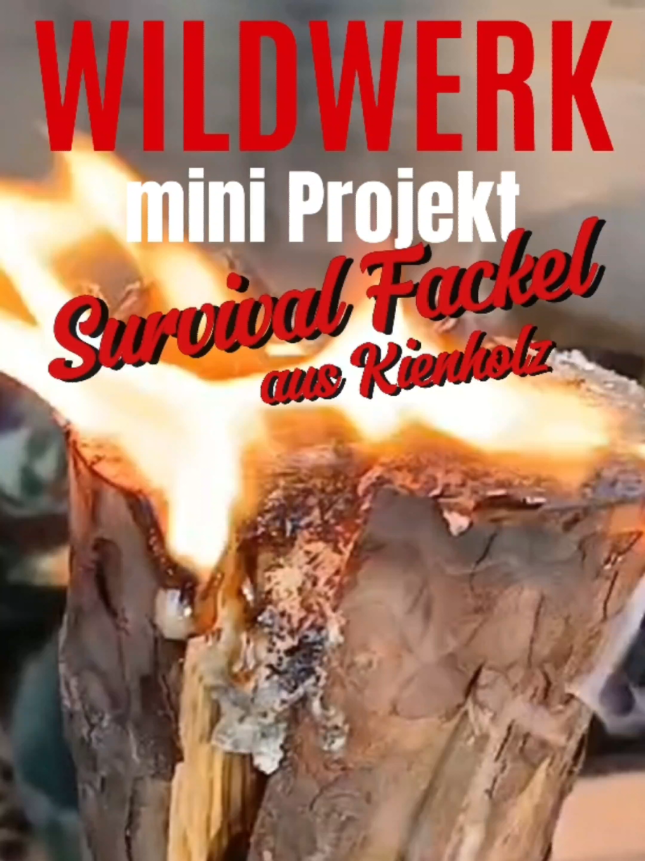 Wir bauen eine Survivalfackel #survivalskills #survivalbushcraft #Fackel #bushcraft 