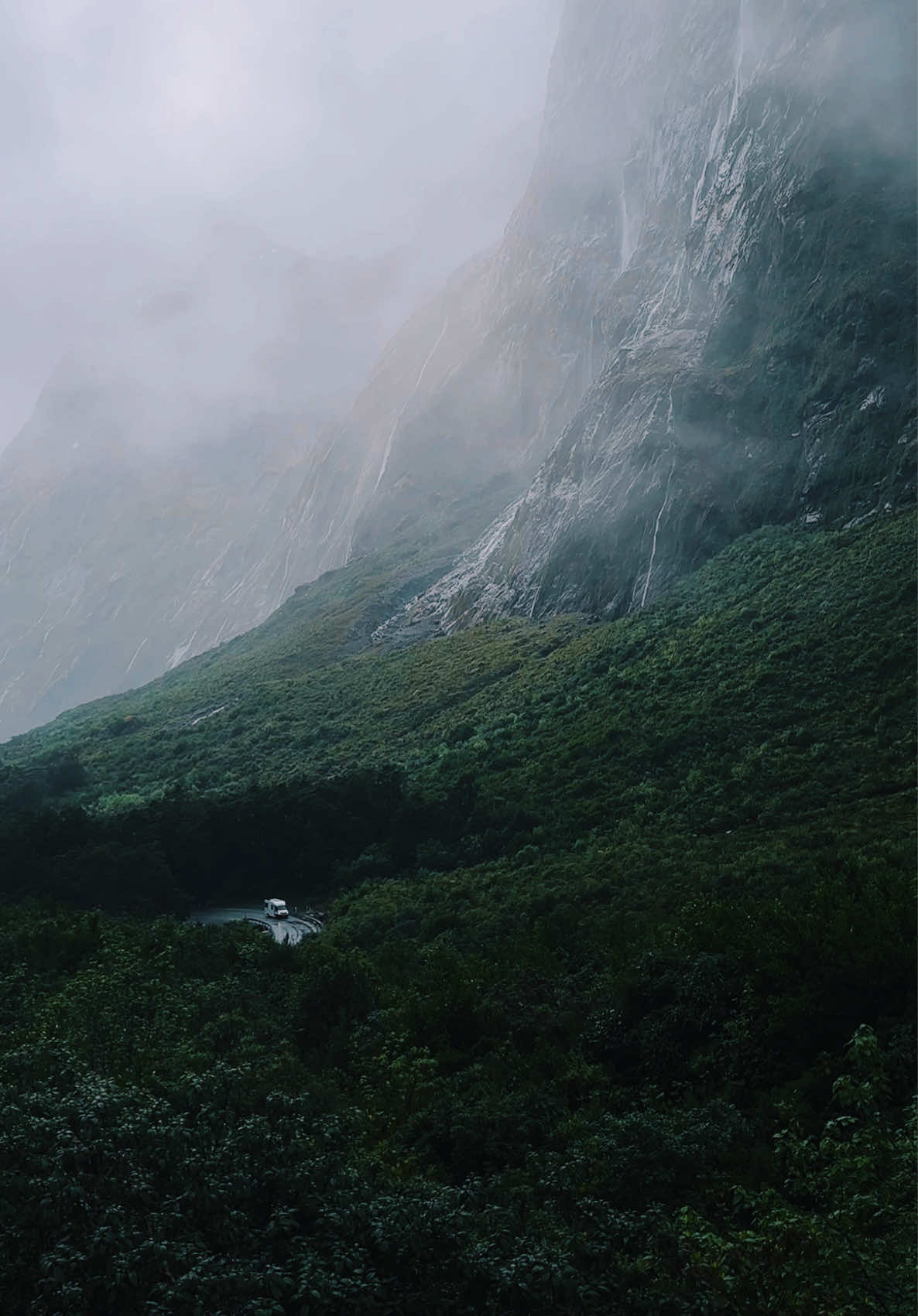 Shades of green in New Zealand 🌿