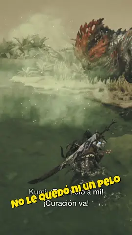 Lo dejamos echo filetes #monsterhunter #monsterhunterwilds 