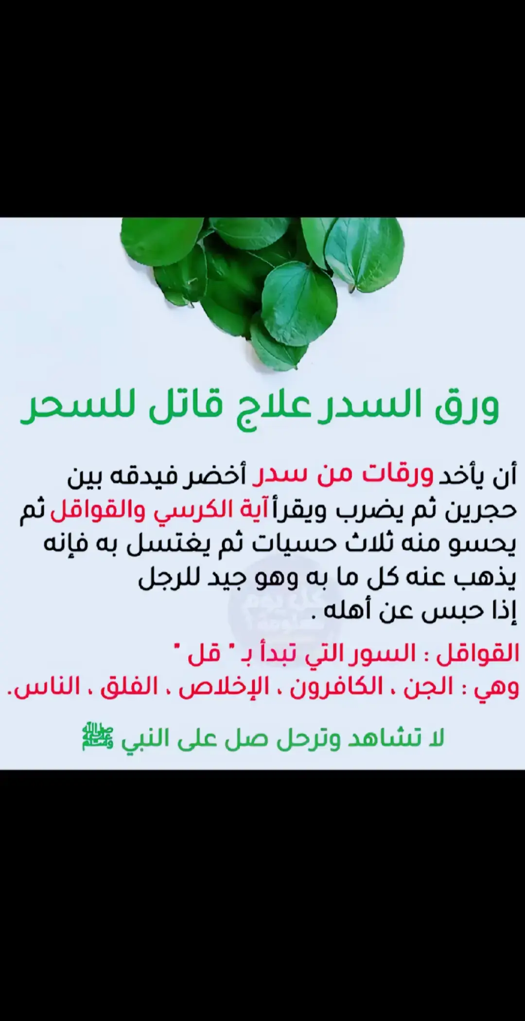 #ستوريات_دينية_قرأن_ادعية_اناشيد سورة البقره مره وحده وسورة يس 41مره وتشرب منه بي أذن لله تبرء