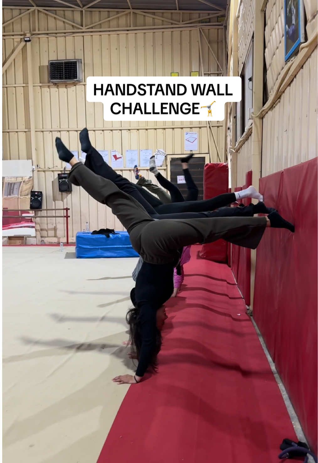 Yes this is an adults gymnastics class & yes most of them never played gymnastics before💥 #handstandchallenge #handstandwallchallenge #handstand #gymnastics #handstand #fyp #fypp 