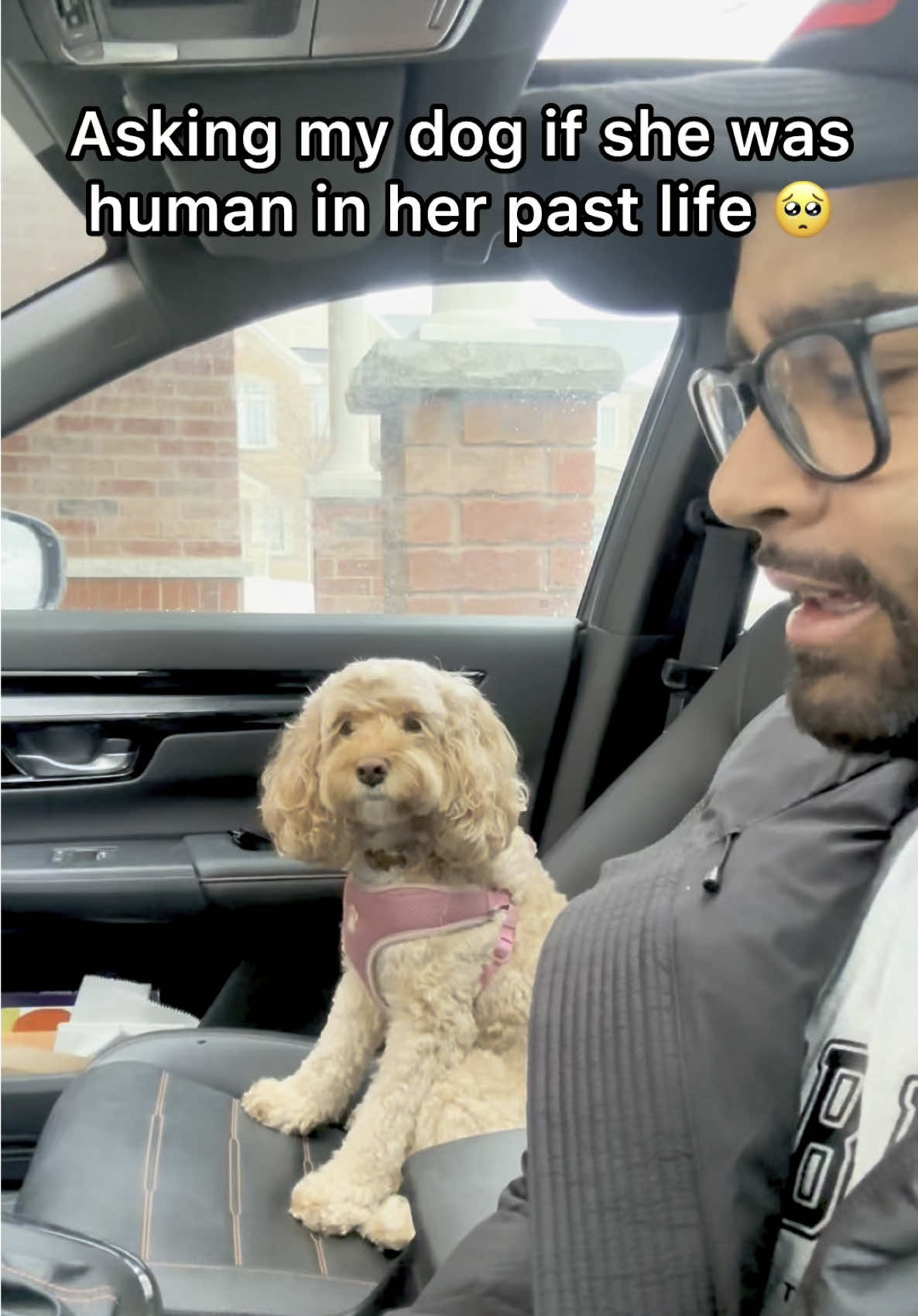 That definitely answers it 😳 #dogs #puppylove #dog #doglove #smartdog #dogsoftiktok 