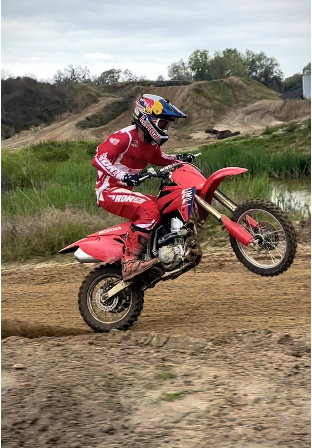 CRF150R small wheel barking out at Moto Sandbox 🤠 Do you guys like the big wheel (150RB) or small wheel (150R)? @Red Bull Motorsports @Red Bull @MotoSport.com #CRF150R #CRF150 #honda 