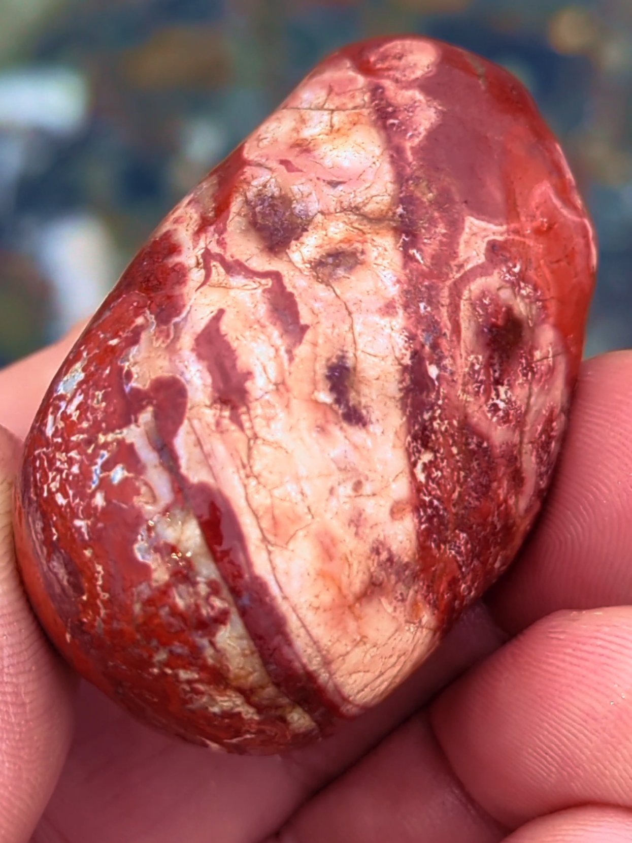 #rockhoundsoftiktok #jasper #poppyjasper #orbicularjasper #rocktok #rockhound #lapidary #rockhoundadventures #rockhounding 